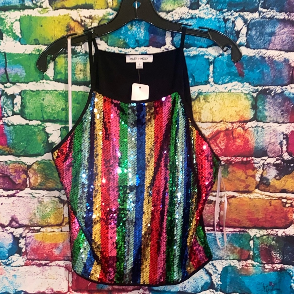 Sparkly🌈 rainbow top